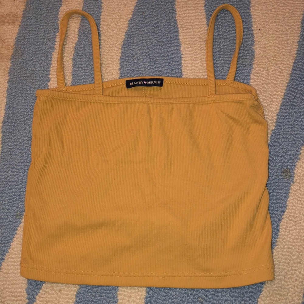 Brandy Melville crop top